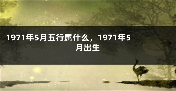 1971年5月五行属什么，1971年5月出生