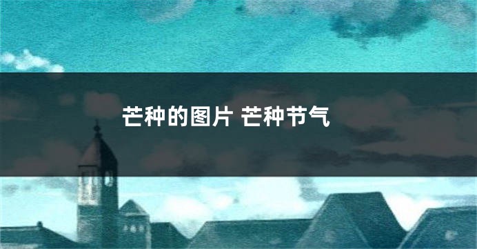 芒种的图片 芒种节气