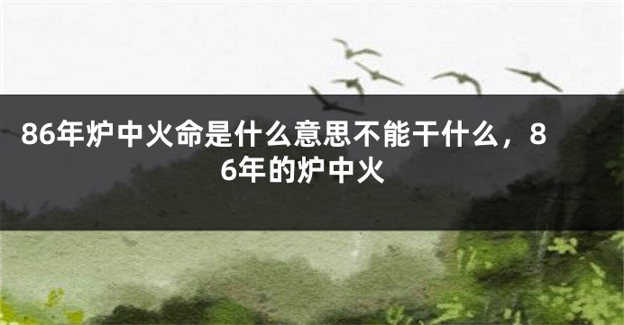 86年炉中火命是什么意思不能干什么，86年的炉中火