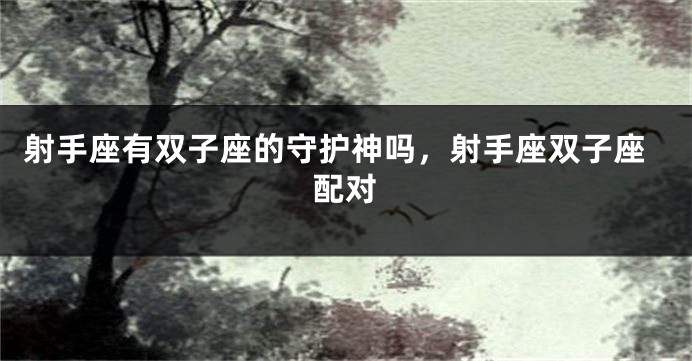 射手座有双子座的守护神吗，射手座双子座配对