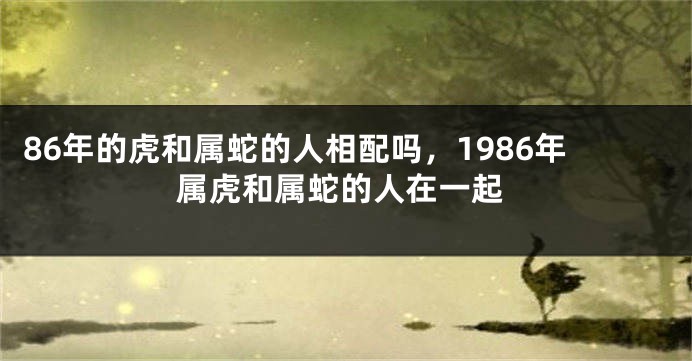 86年的虎和属蛇的人相配吗，1986年属虎和属蛇的人在一起