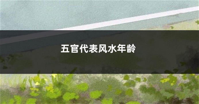 五官代表风水年龄