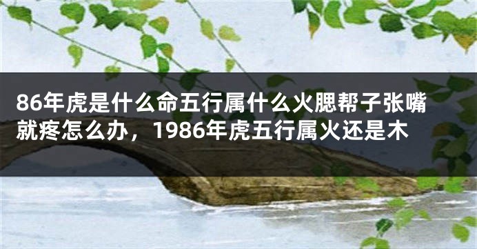 86年虎是什么命五行属什么火腮帮子张嘴就疼怎么办，1986年虎五行属火还是木