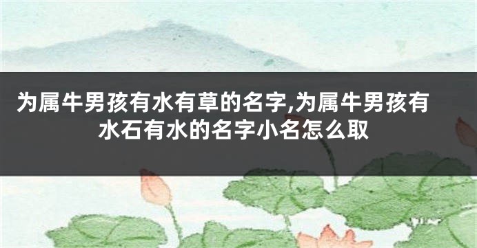 为属牛男孩有水有草的名字,为属牛男孩有水石有水的名字小名怎么取