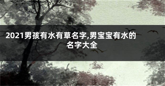 2021男孩有水有草名字,男宝宝有水的名字大全