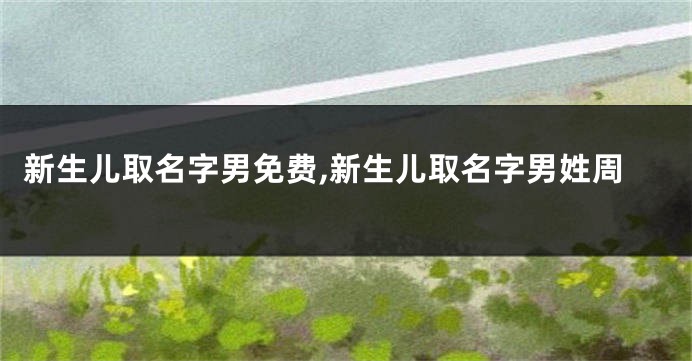 新生儿取名字男免费,新生儿取名字男姓周
