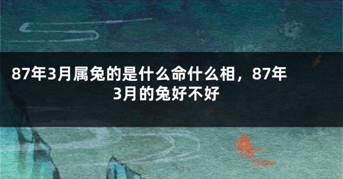 87年3月属兔的是什么命什么相，87年3月的兔好不好