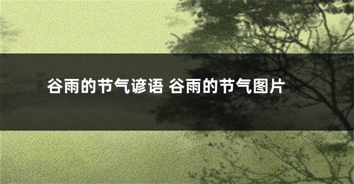 谷雨的节气谚语 谷雨的节气图片