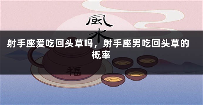 射手座爱吃回头草吗，射手座男吃回头草的概率