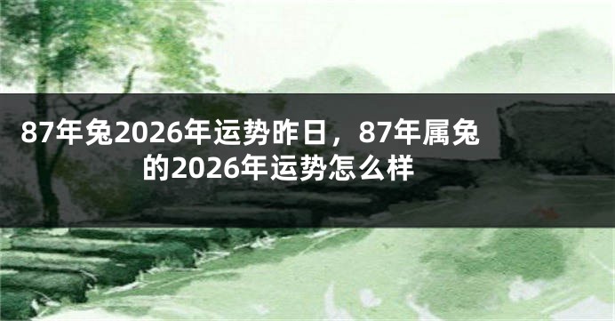 87年兔2026年运势昨日，87年属兔的2026年运势怎么样