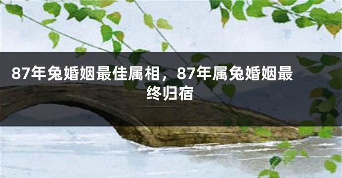 87年兔婚姻最佳属相,87年属兔婚姻最终归宿