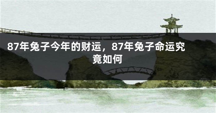87年兔子今年的财运，87年兔子命运究竟如何