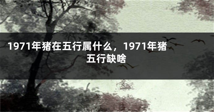 1971年猪在五行属什么，1971年猪五行缺啥