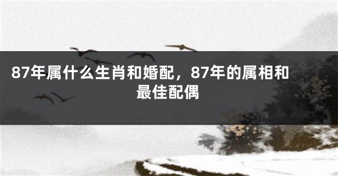 87年属什么生肖和婚配，87年的属相和最佳配偶