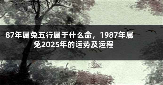 87年属兔五行属于什么命，1987年属兔2025年的运势及运程
