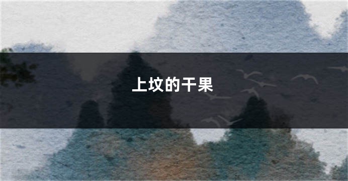 上坟的干果
