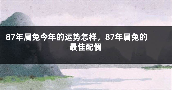 87年属兔今年的运势怎样，87年属兔的最佳配偶