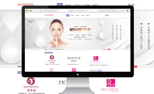 广州奈莉尔生我科技有限公司集团网案例分享